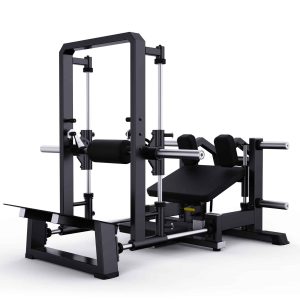 Máquina de empuje de cadera DHZ 3D Smith