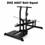 DHZ A607 Belt Squat