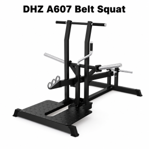 DHZ A607 Belt Squat